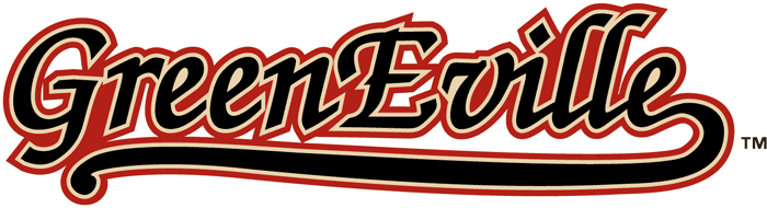 Greeneville Astros 2004-2012 Wordmark Logo iron on heat transfer